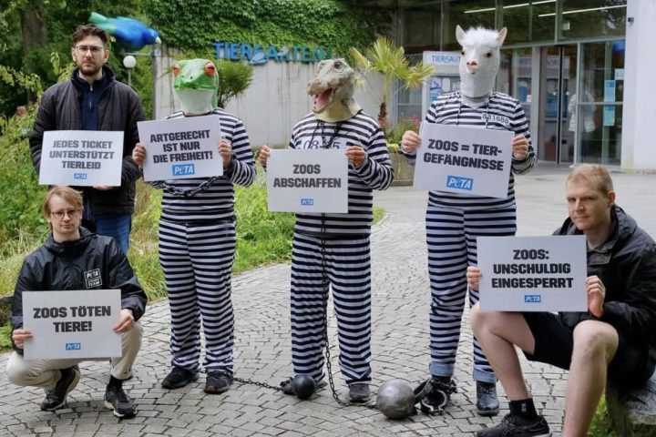 Protestaktion gegen Zoos